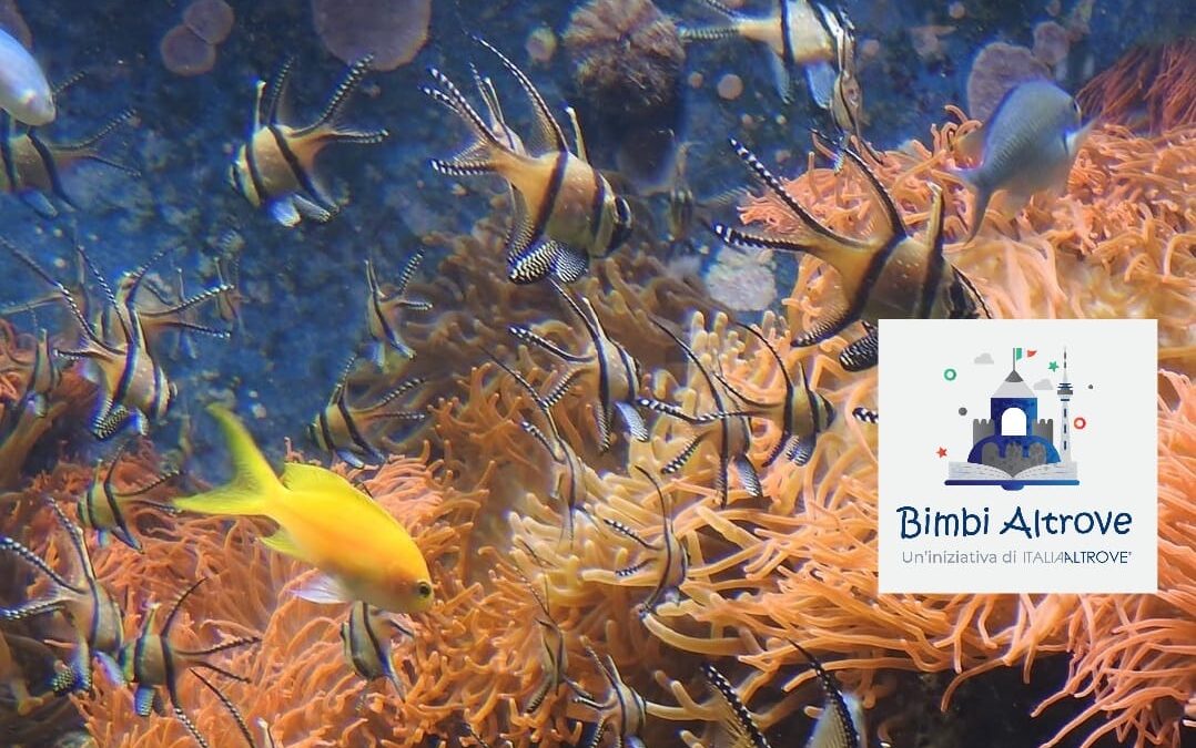 Bimbi Altrove: Insieme all’Aquazoo